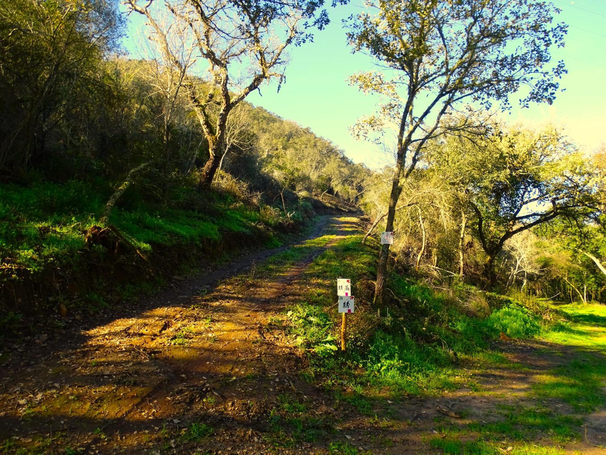 Herdade Vale De Gaios By Stay In Alentejo São Luís Exterior foto